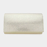 SHIMMERY EVENING CLUTCH BAG